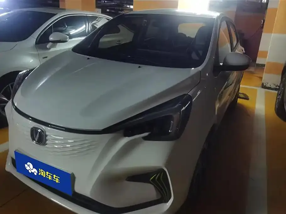 Changan Oshan Benben Oshan Benben E-Star 2020 Heart-beating Edition Lithium Iron Phosphate (31.95kWh) — photo 1