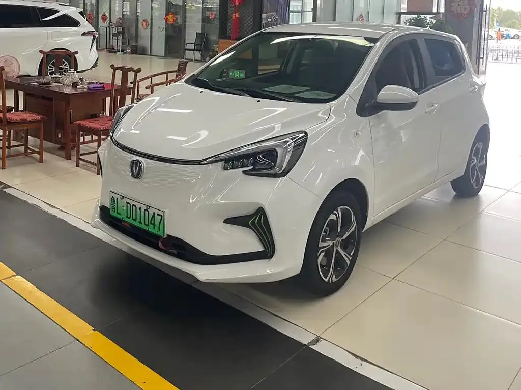 Changan Oshan Benben Oshan Benben E-Star 2022 National Edition Colorful Limited Edition (Fast Charging Edition) Ternary Lithium — photo 1