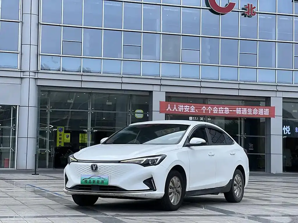 Changan Eado Eado 2022 EV460 Premium Edition Lithium Iron Phosphate — photo 1