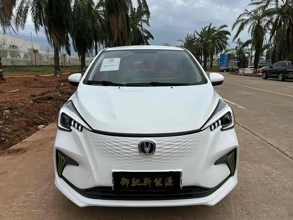 Changan Oshan Benben Oshan Benben E-Star 2021 National Edition Xinyi Edition Ternary Lithium — photo 1