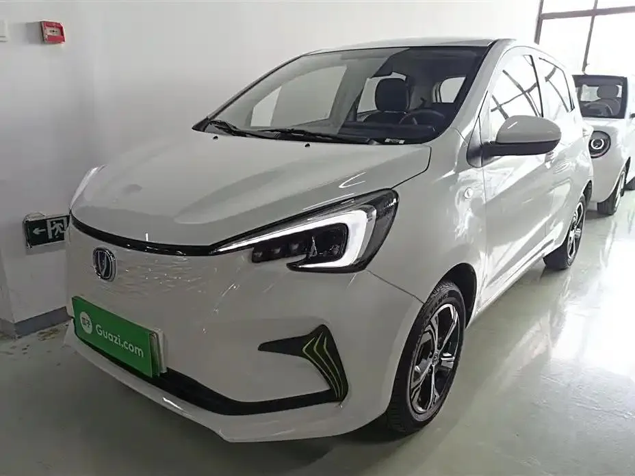 Changan Oshan Benben Oshan Benben E-Star 2020 Heart-beating Edition Ternary Lithium — photo 1