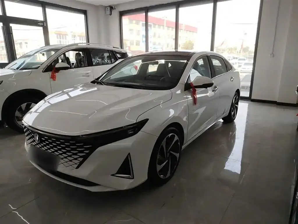 Changan Changan Raeton Plus — Blanc