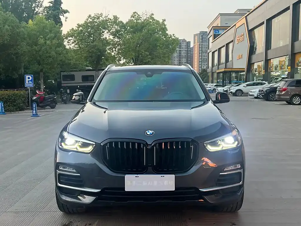 BMW X5 (Imported) X5 Imported 2019 xDrive30i X Design Package — photo 1