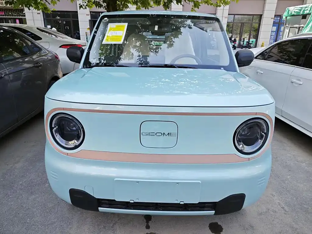 Geely Geely Panda — Green