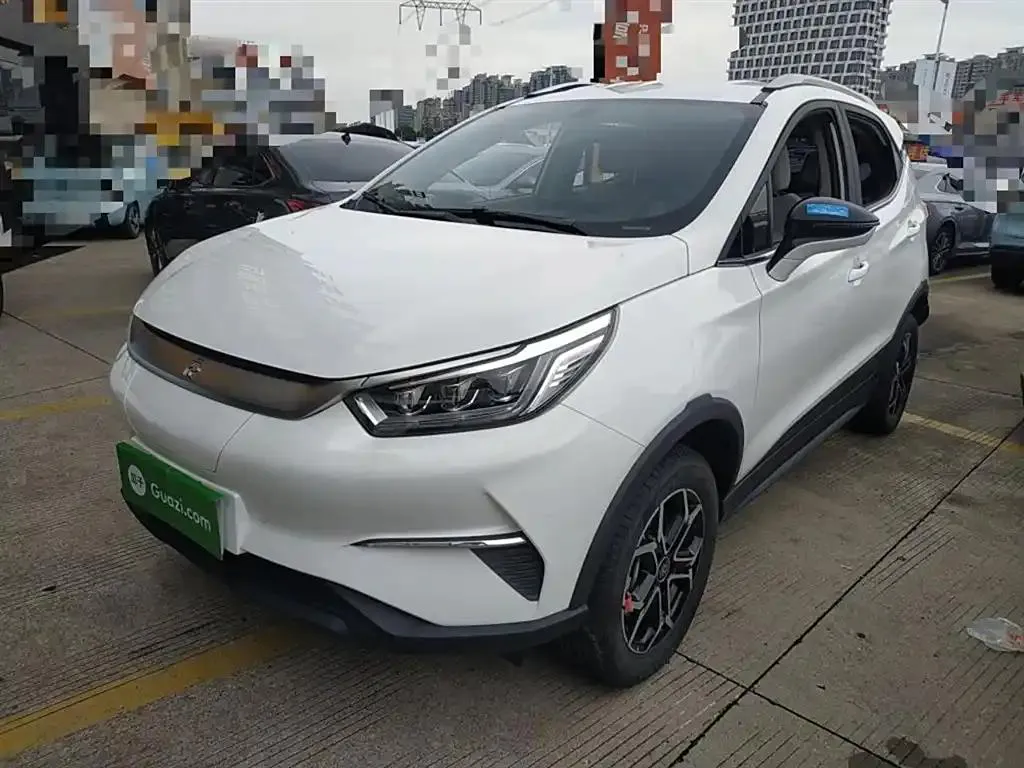 BYD Yuan Pro Yuan Pro 2021 401KM Luxury Edition — photo 1
