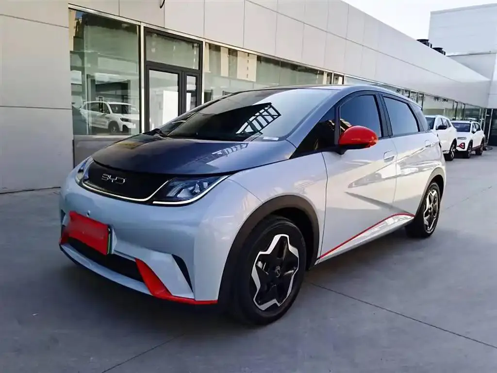 BYD Dolphin Dolphin 2021 405km Fashion Edition — photo 1