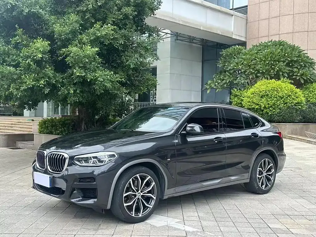 BMW X4 X4 2019 xDrive25i M Off-Road Package — photo 1