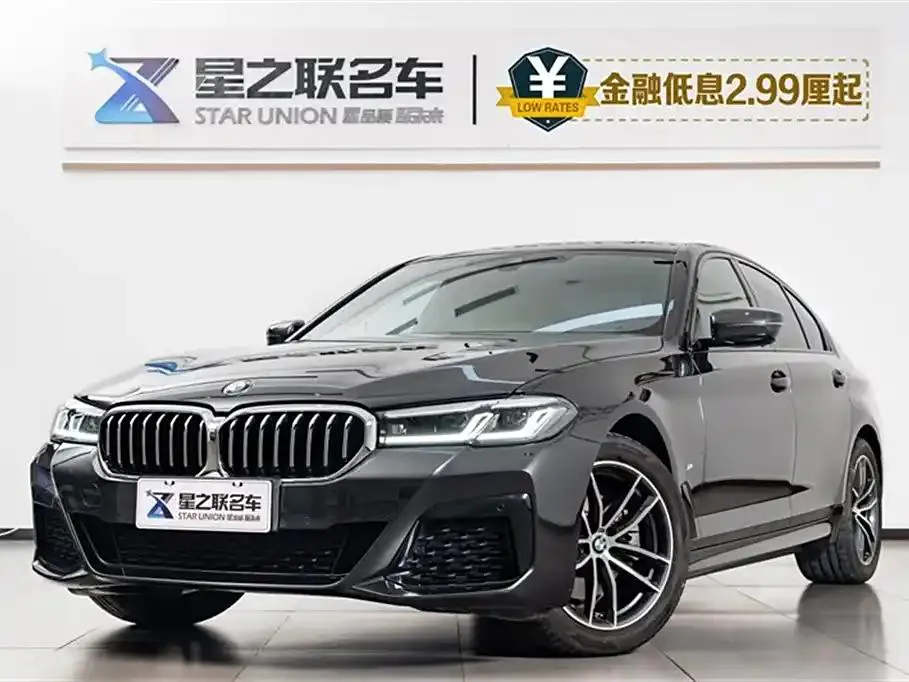 BMW BMW 5 Series — Silver Gray