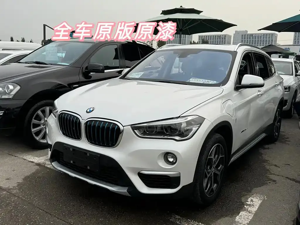 BMW X1 X1 2017 xDrive25Le — photo 1
