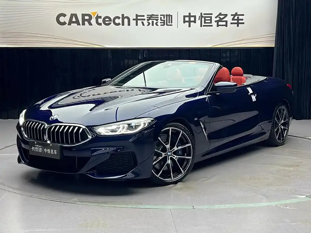 BMW BMW 8 Series — Blue