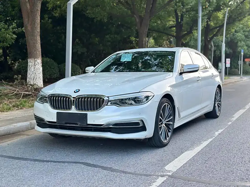 BMW 5 Series 5 Series 2020 530Li Executive Luxury Package — photo 1