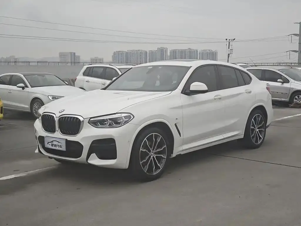 BMW X4 X4 2020 xDrive30i M Sport Package — photo 1