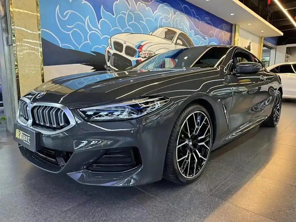 BMW BMW 8 Series — فضي رمادي