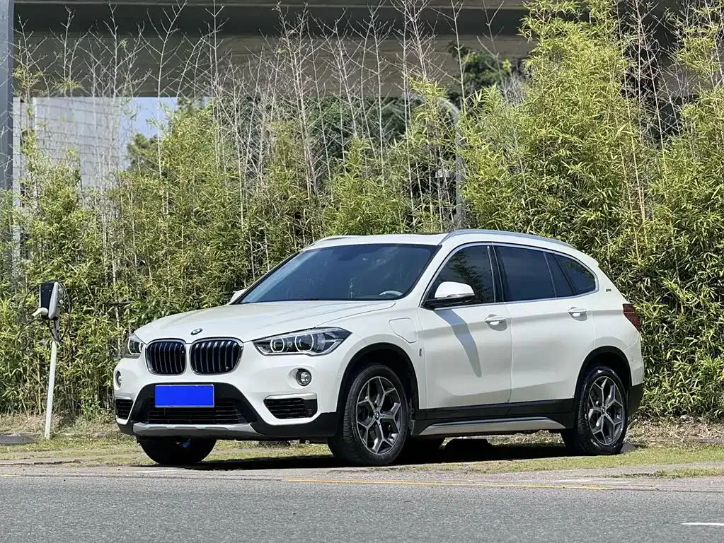 BMW X1 X1 2019 xDrive25Le Luxury Edition — photo 1