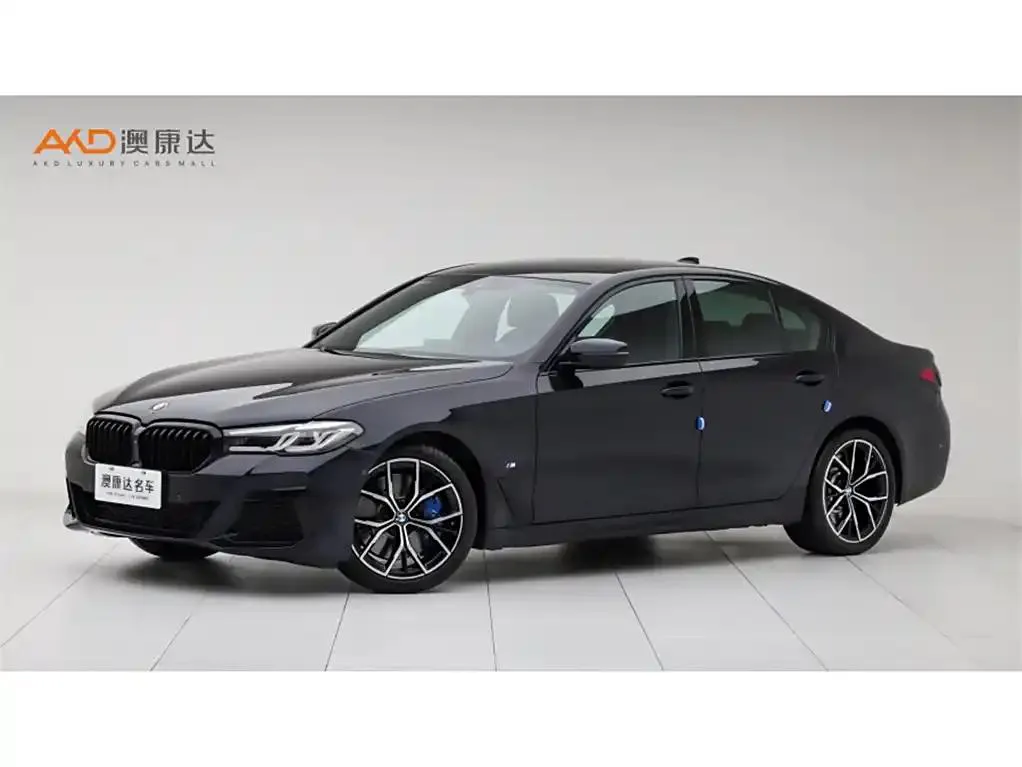 BMW BMW 5 Series — أخرى