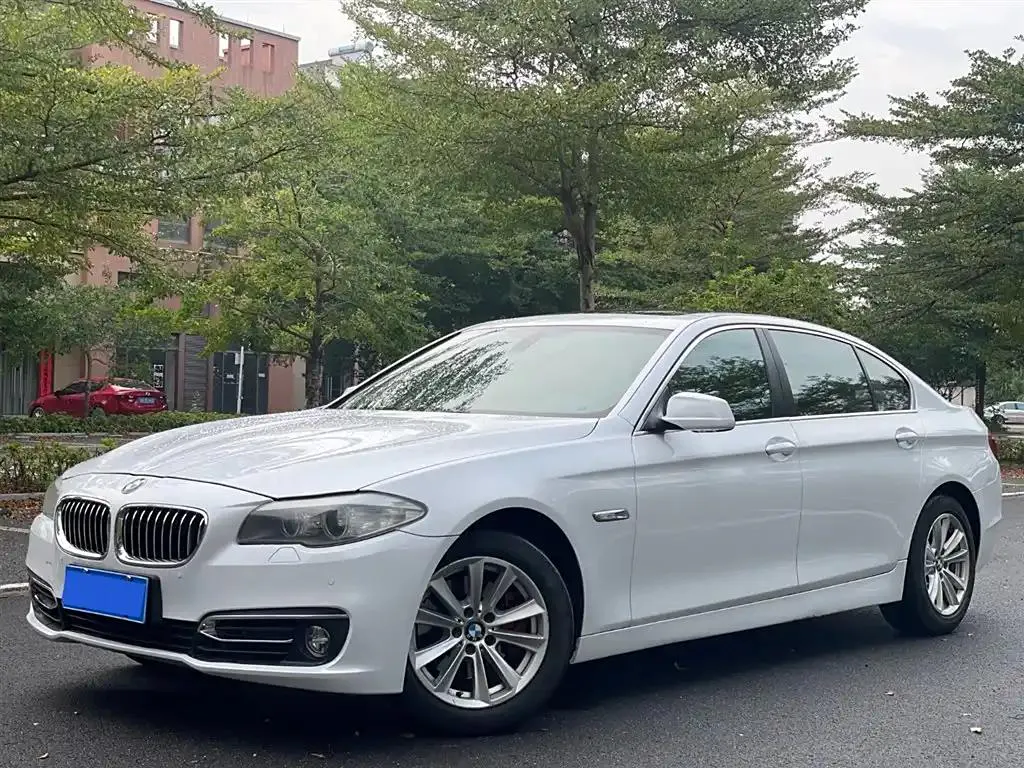 BMW 5 Series 5 Series 2011 520Li Elegant — photo 1
