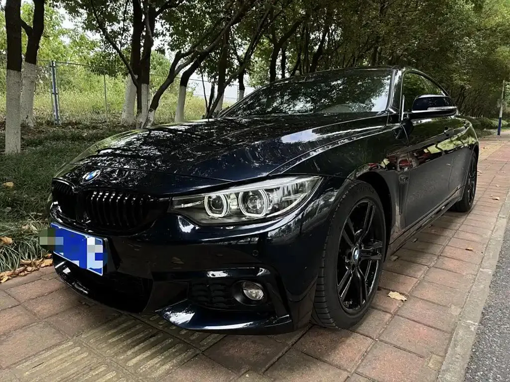 BMW BMW 4 Series — أسود