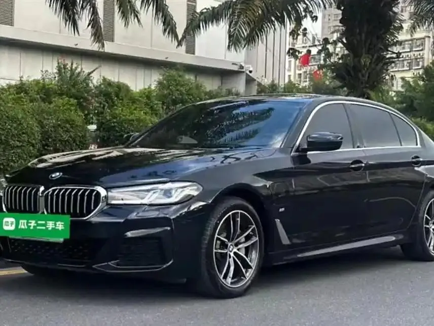 BMW BMW 5 Series — أسود