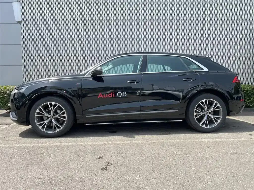 Audi Q8 Q8 2024 55 TFSI Luxury Dynamic Edition — Ver foto 3