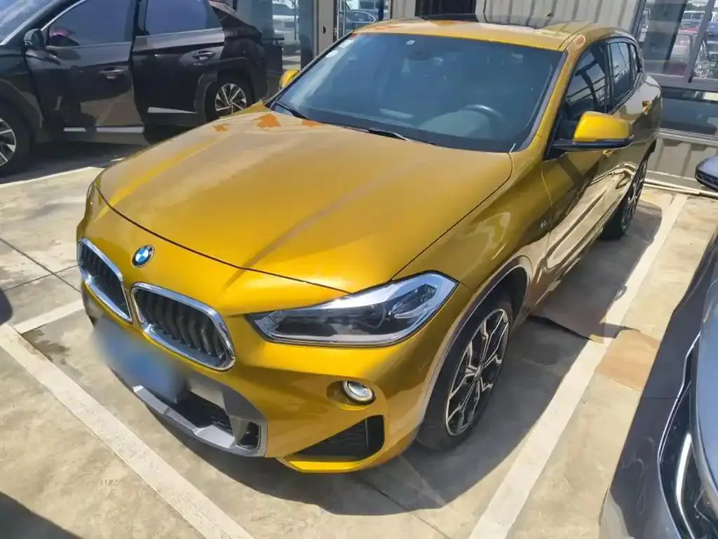 BMW X2 X2 (Imported) 2018 sDrive25i Luxury M Off-road Package National V — photo 1