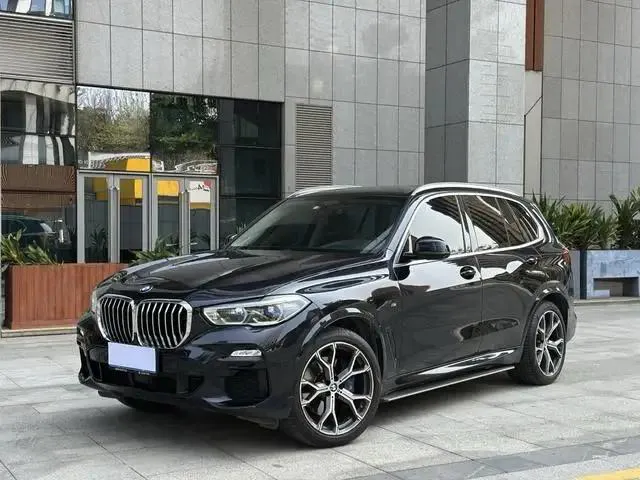BMW BMW X5 — أسود