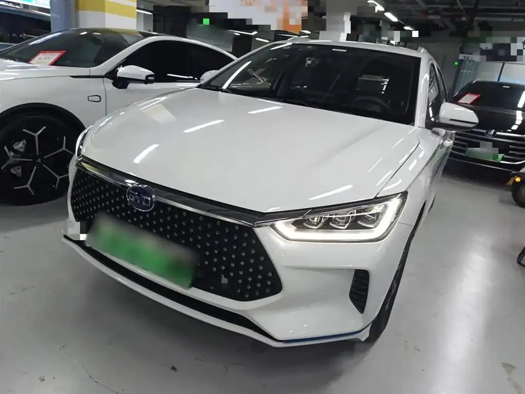 BYD e2 e2 2019 High Range Edition Creative Premium Edition — photo 1