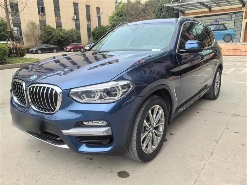 BMW X3 X3 2018 xDrive25i Luxury Package National VI — photo 1