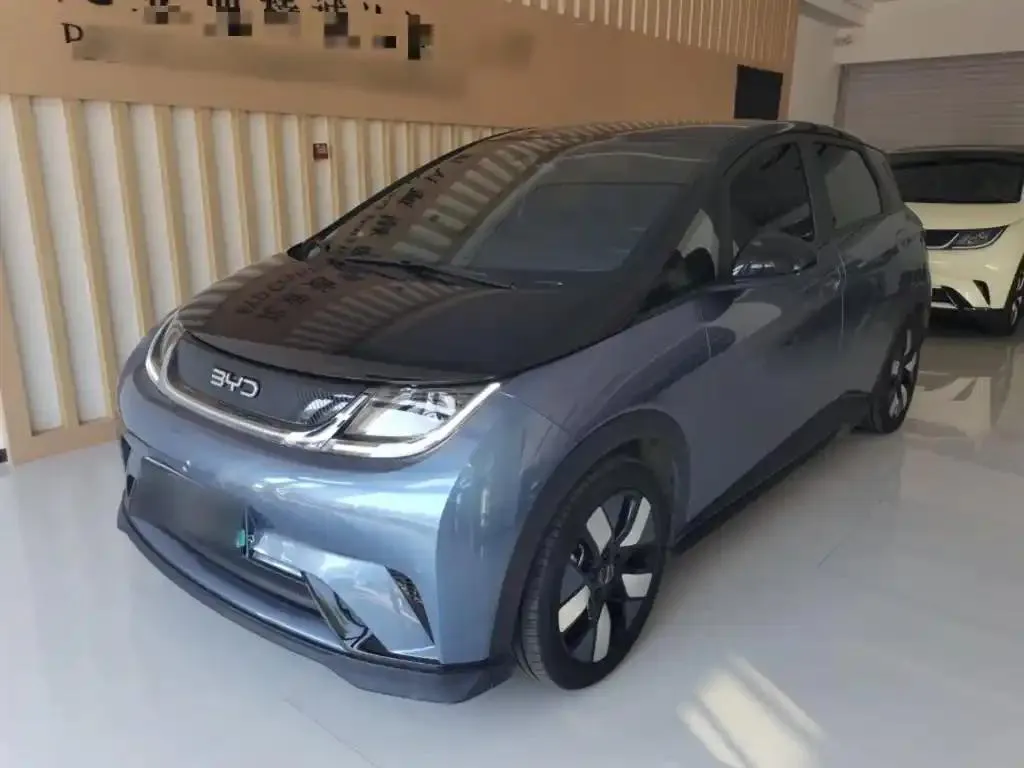 BYD Dolphin Dolphin 2024 Glory Edition 401km Knight Edition — photo 1