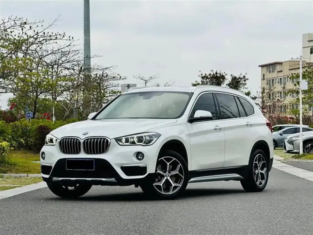 BMW X1 X1 2019 xDrive20Li Luxury — photo 1