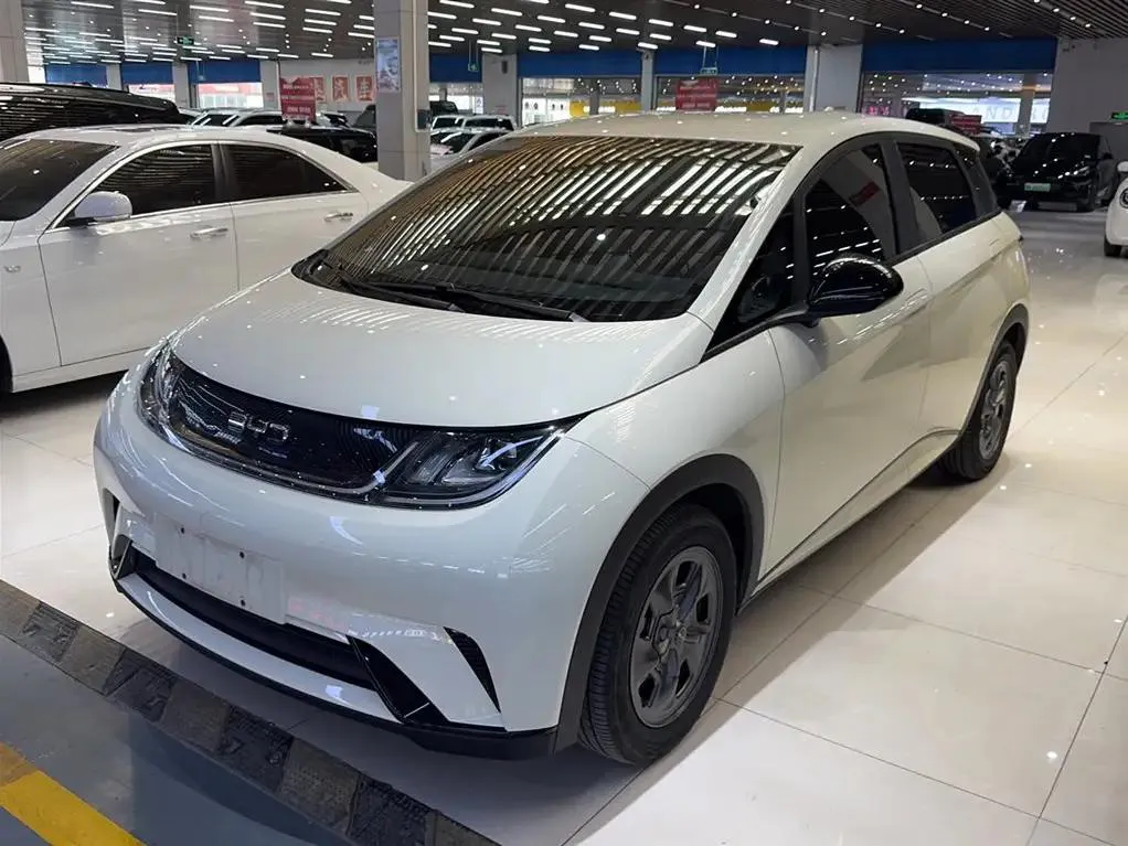 BYD Dolphin Dolphin 2024 Glory Edition 302km Vitality Edition — photo 1
