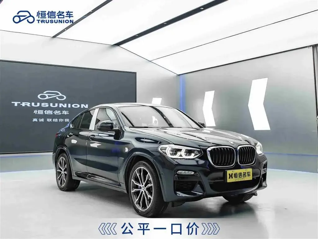 BMW X4 X4 2019 xDrive30i M Sport Package — photo 1