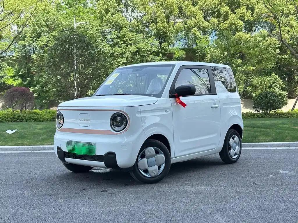Geely Galaxy Geely Panda 2024 Panda mini 200km Endurance Bear — photo 1