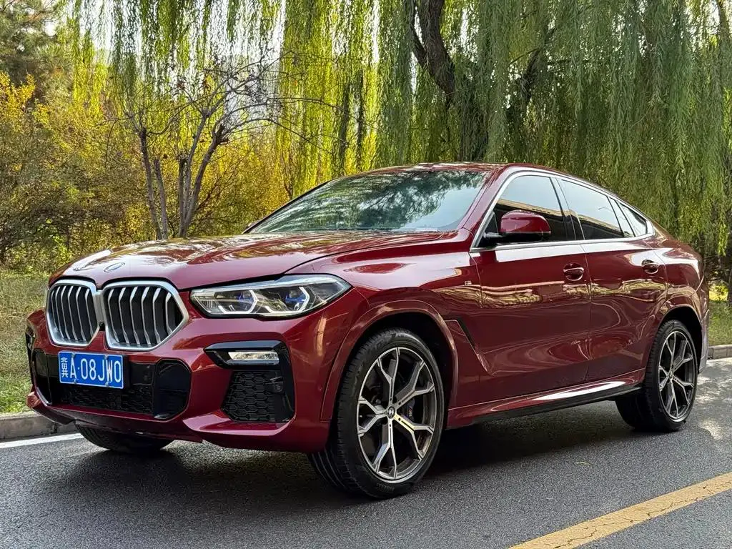 BMW BMW X6 — Red