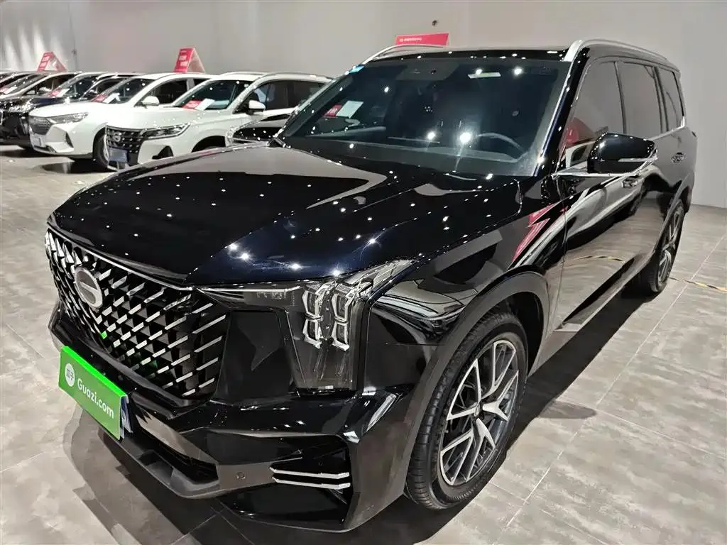 GAC Trumpchi Trumpchi Trumpchi GS8 2025 Pilot Series 2.0TGDI 2WD Luxury Edition 5 Seaters — photo 1