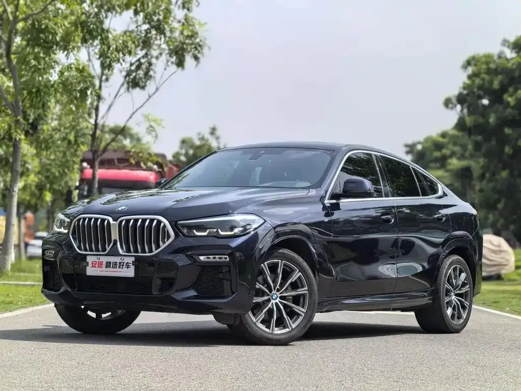 BMW X6 X6 2021 xDrive30i M Sport Package — photo 1