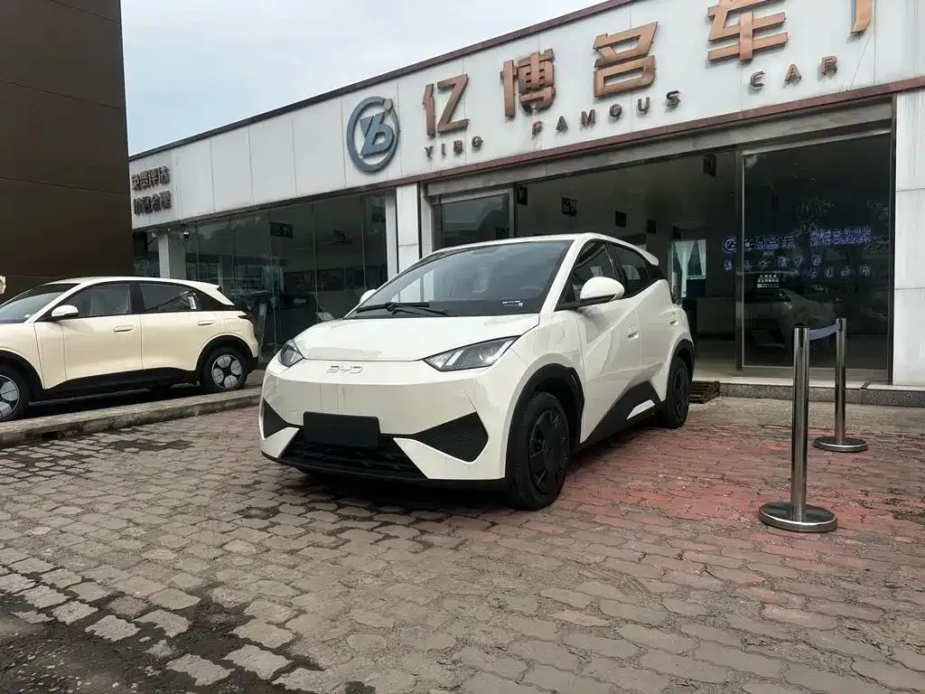 BYD Seagull Seagull 2025 Intelligent Driving Edition 305km Vitality Edition — photo 1