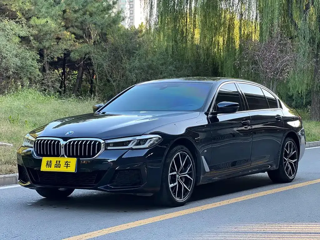 BMW BMW 5 Series — Black