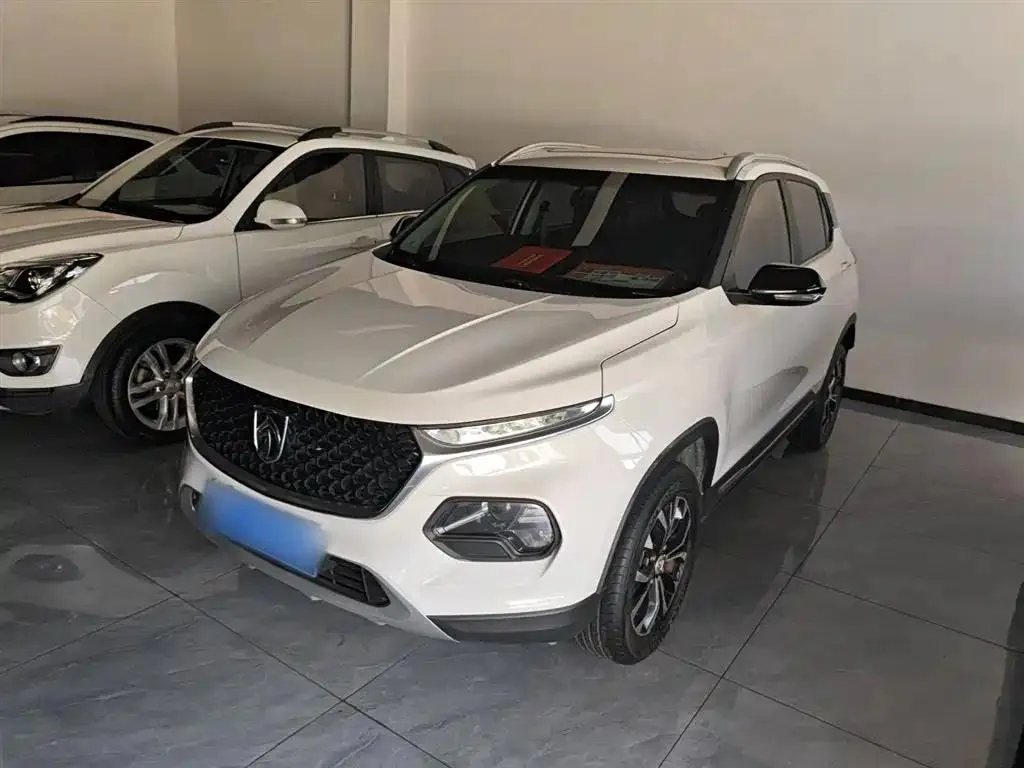 Baojun 510 510 2019 1.5L Automatic Premium Edition National VI — photo 1