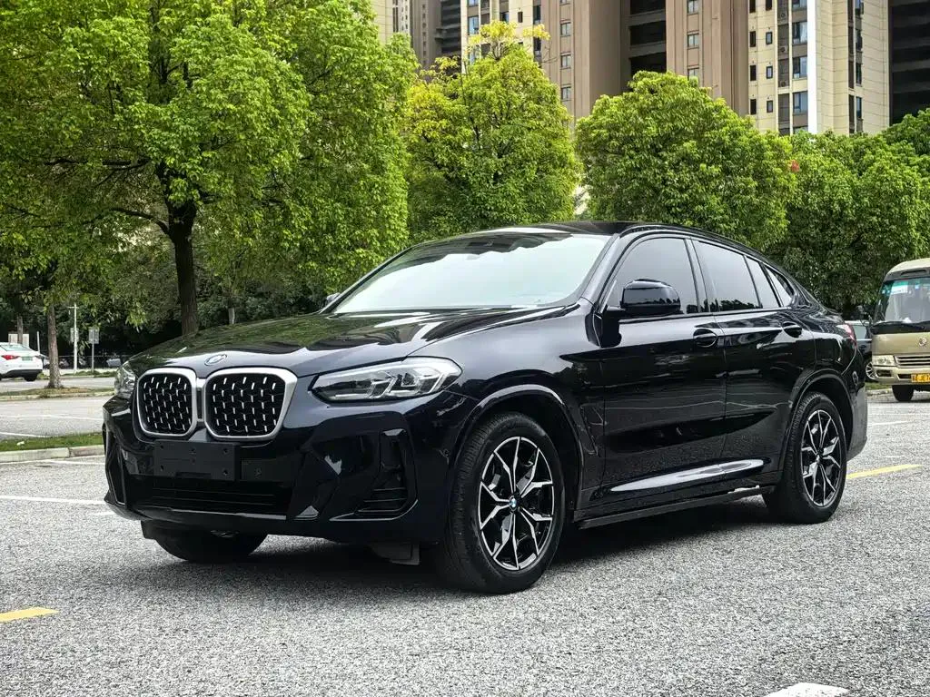 BMW BMW X4 — Black