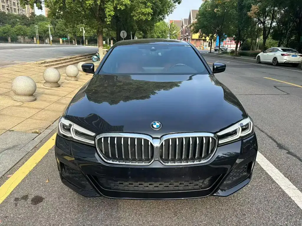 BMW 5 Series 5 Series New Energy 2021 Model 535Le M Sports Package — photo 1