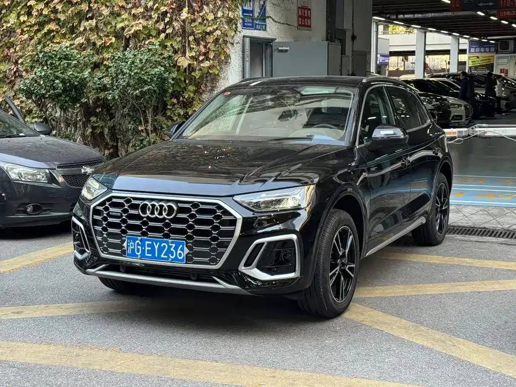 Audi Q5L Q5L 2025 45th Anniversary Edition 40 TFSI Luxury Dynamic — photo 1