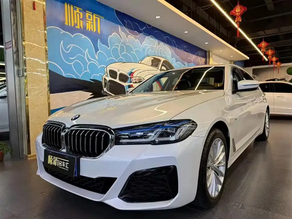 BMW 5 Series 5 Series 2018 530Li Leading Luxury Package — photo 1