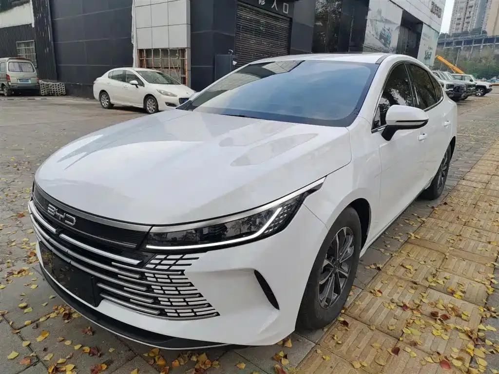BYD Destroyer 05 Destroyer 05 2023 Champion Edition DM-i 55KM Premium — photo 1