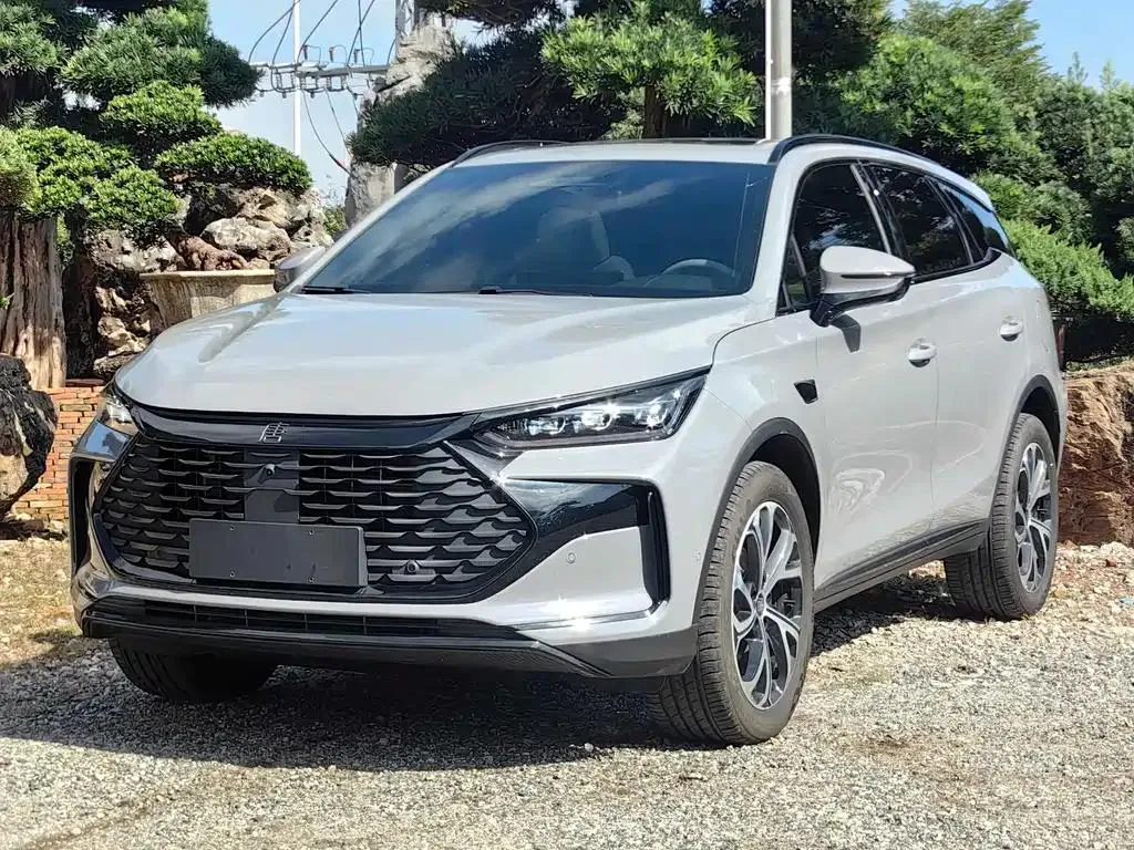 BYD Tang EV Tang New Energy 2025 Intelligent Driving Edition DM-i 115KM Premium Edition — photo 1