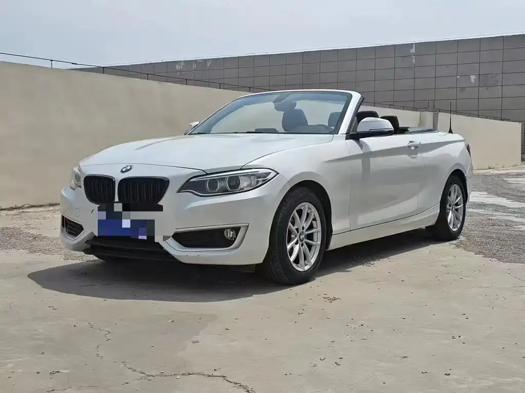 BMW 2 Series 2 Series (Imported) 2015 218i Convertible Coupe — photo 1