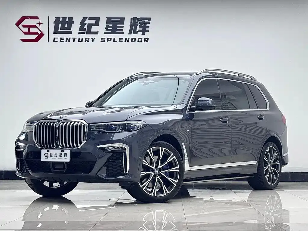 BMW BMW X7 — Silver / Gray