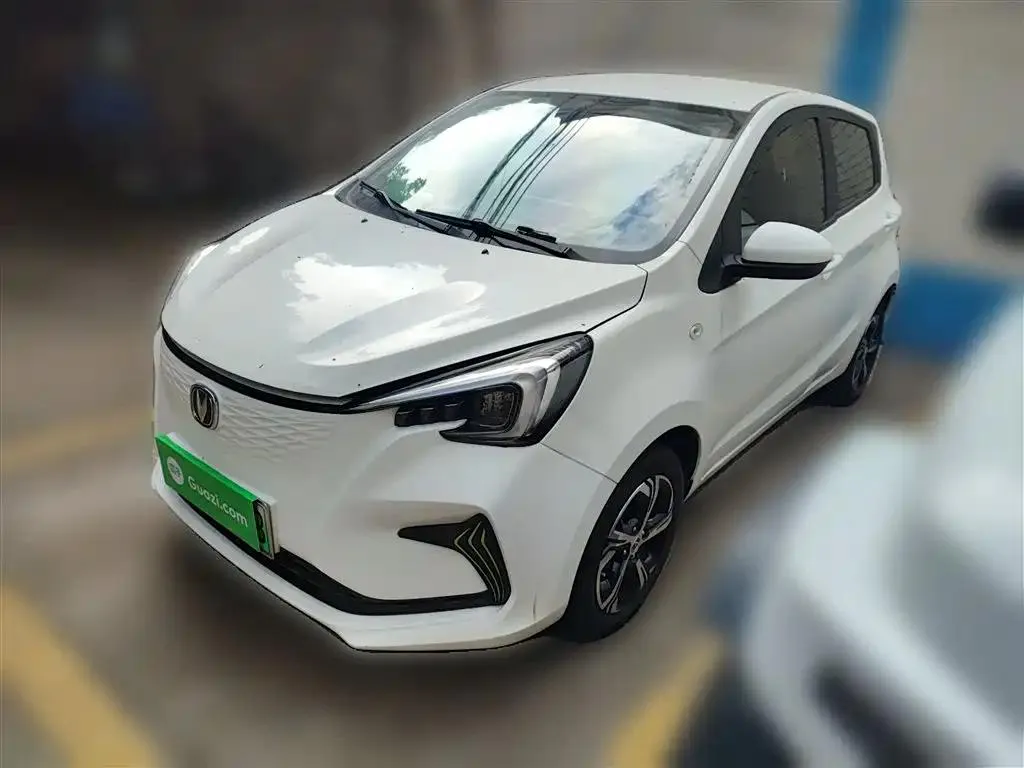 Changan Oshan Benben Benben E-Star 2020 Heart-beating Edition Ternary Lithium — photo 1