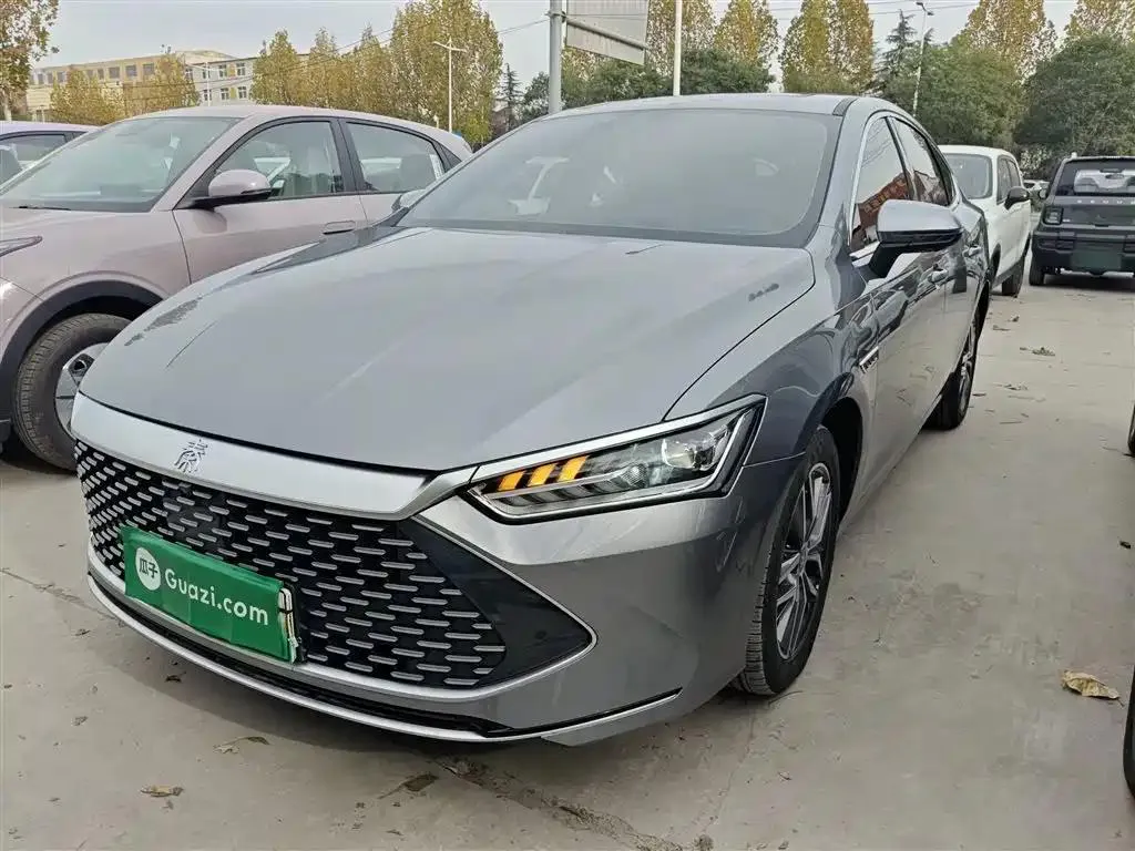 BYD Qin PLUS Qin PLUS 2024 Honor Edition DM-i 55KM Beyond Edition — photo 1