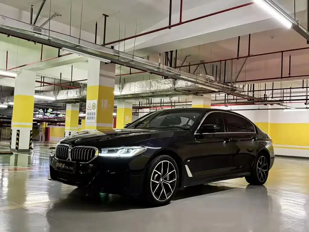 BMW BMW 5 Series — أسود