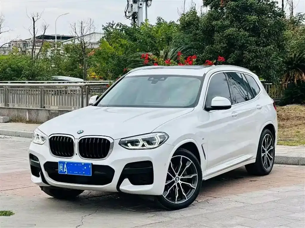 BMW X3 X3 2019 xDrive30i Exclusive M Sport Package — photo 1